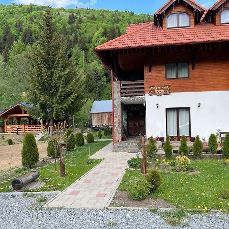 Pensiunea Pietrosul Rodnei Majszin Kültér fotó