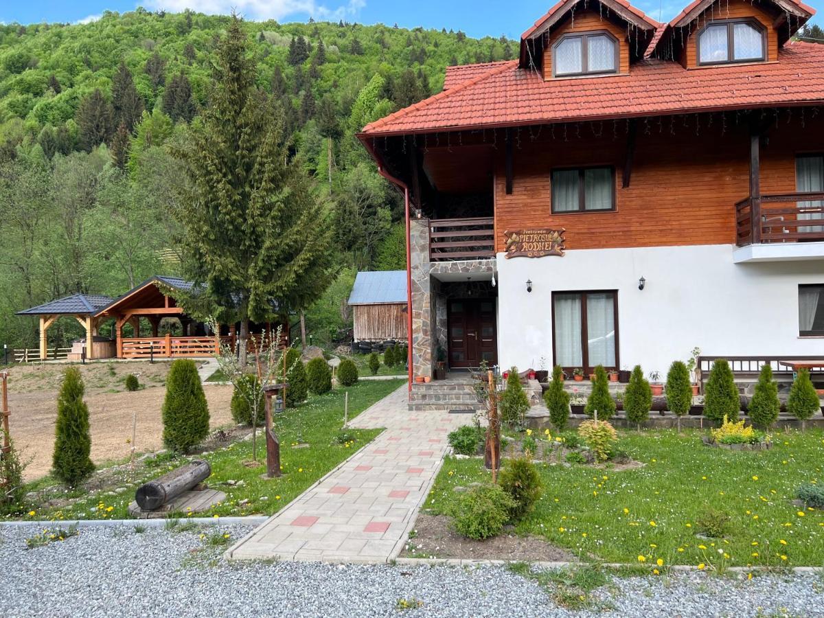 Pensiunea Pietrosul Rodnei Majszin Kültér fotó