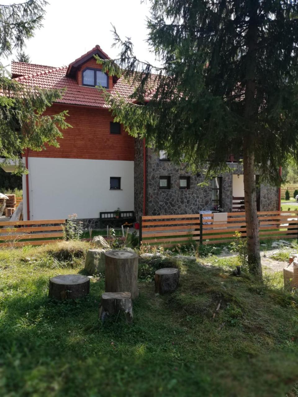 Pensiunea Pietrosul Rodnei Majszin Kültér fotó